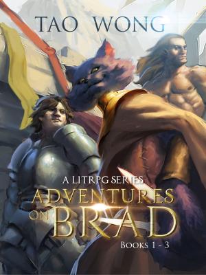 Cover of Adventures on Brad - Books 1 - 3