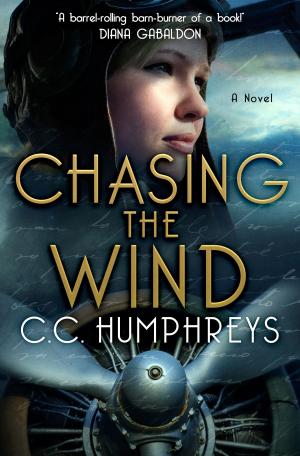 Cover of the book Chasing the Wind by Dara England