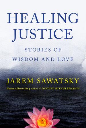 Cover of the book Healing Justice by Jason Daughtry