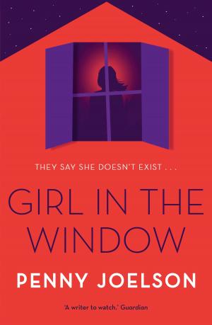 Cover of the book Girl in the Window by M. J. Misra