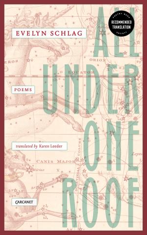 Cover of the book All Under One Roof by Jacques Lazzari