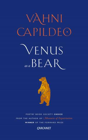 Cover of the book Venus as a Bear by Paul Caggegi