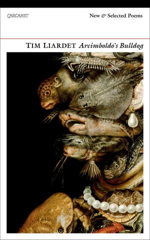 Cover of the book Arcimboldo's Bulldog by Anne Brontë, Charlotte Brontë, Emily Brontë