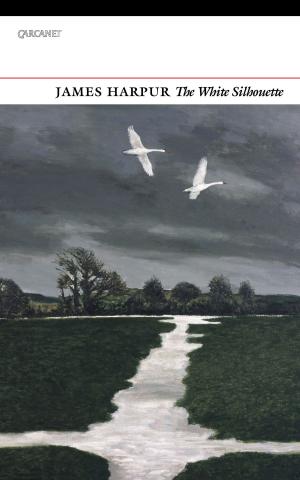 Book cover of The White Silhouette