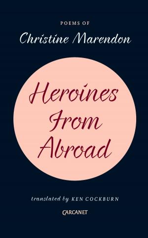 Cover of the book Heroines from Abroad by Gillian Clarke