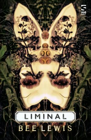 Cover of the book Liminal by Christina James