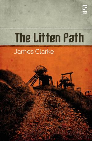 Cover of the book The Litten Path by Stephen McGeagh