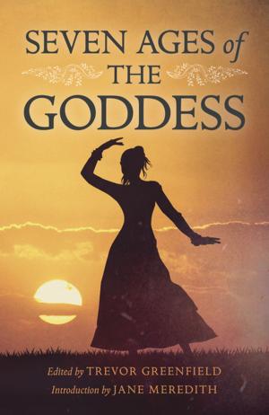Cover of the book Seven Ages of the Goddess by N. Starcat Shields