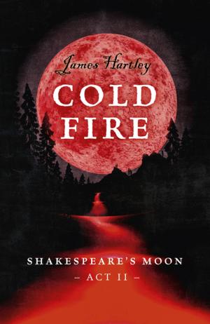 Cover of the book Cold Fire by C. McGee
