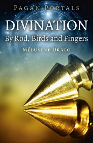 Cover of the book Pagan Portals - Divination by Tom Evans