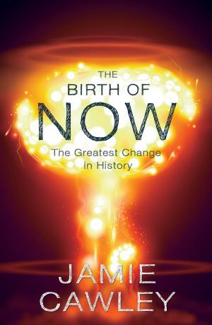Cover of the book The Birth of Now by M. Wheadon