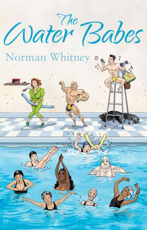 Cover of the book The Water Babes by Aaron Michael Ritchey