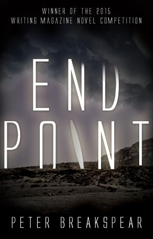 Cover of the book End Point by Amy Hudson