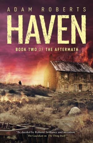 Cover of the book Haven by Paul Kearney