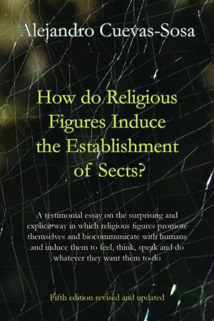 Cover of the book How do religious figures induce the establishment of sects? by Mark Roland Langdale