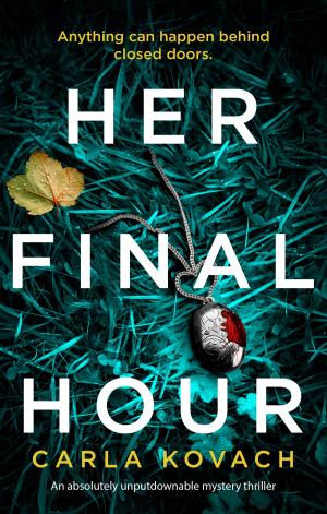 Cover of the book Her Final Hour by Lindsay J. Pryor
