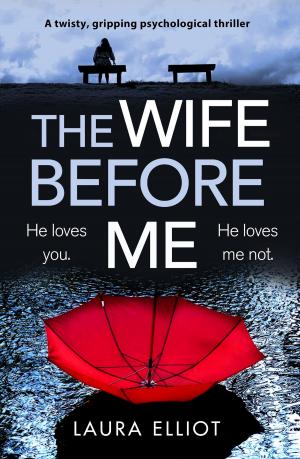 Cover of the book The Wife Before Me by C.J. Daugherty