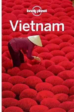 Book cover of Lonely Planet Vietnam