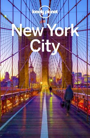 Book cover of Lonely Planet New York City