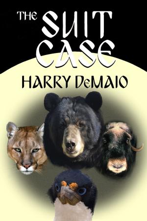 Book cover of The Suit Case