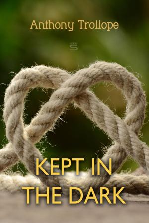 Book cover of Kept in the Dark