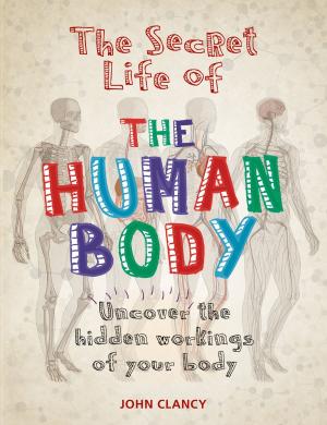 Cover of the book The Secret Life of the Human Body by David Day