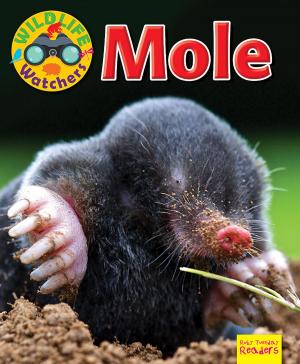 Cover of the book Mole by Joyce Markovics
