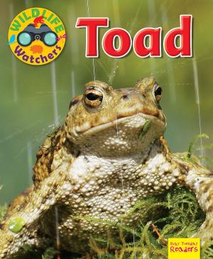 Book cover of Toad
