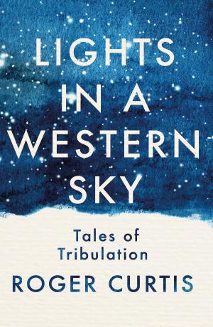 Cover of the book Lights in a Western Sky by Niki Phillips