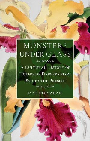 Cover of the book Monsters under Glass by Paul Gladston