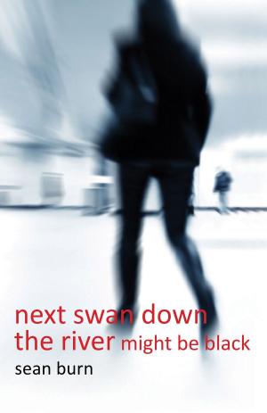Cover of the book Next Swan Down the River Might be Black by Lars-Henrik Olsen