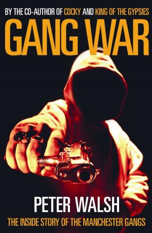 Cover of the book Gang War by Steve Sinclair