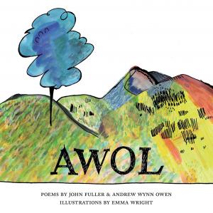 Cover of the book AWOL by Marty Donnellan