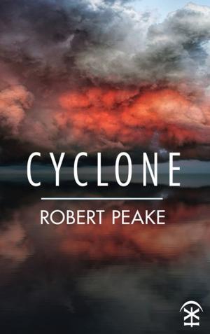 Cover of the book Cyclone by Robert Peake