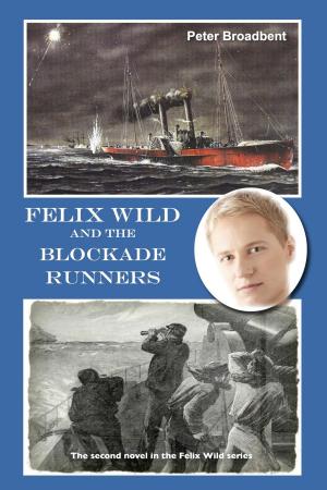 Book cover of Felix Wild and the Blockade Runners