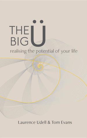 Cover of the book The Big Ü by Robert Weiss, Jennifer Schneider