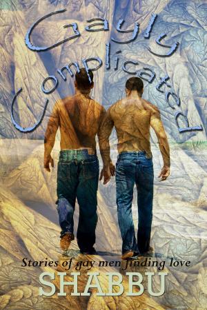 Cover of the book Gayly Complicated by Chris Cross