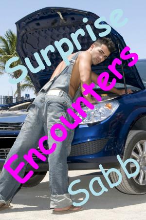 Cover of the book Surprise Encounters by Sabb