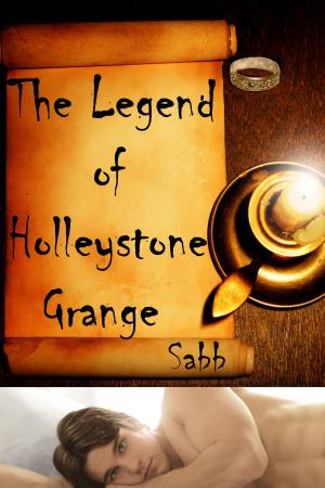 Cover of the book The Legend of Holleystone Grange by H. M. Gooden