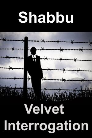 Cover of the book Velvet Interrogation by Dirk Hessian