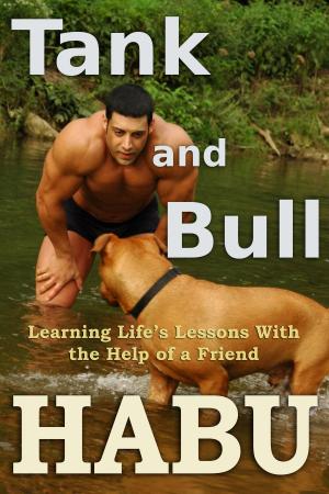 Cover of Tank and Bull