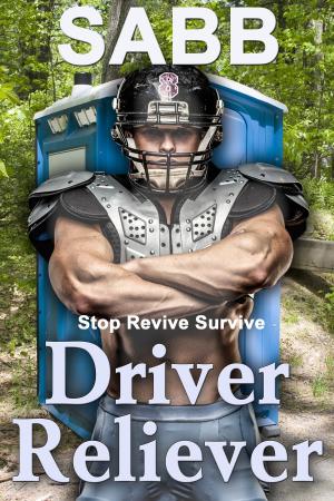 bigCover of the book Driver Reliever by 