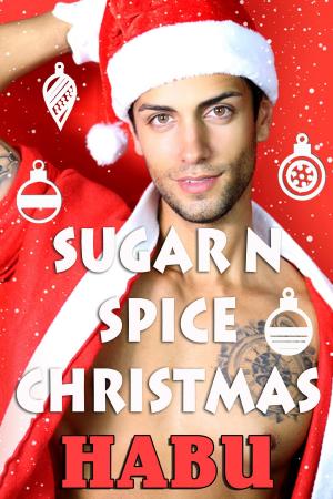 Book cover of Sugar n Spice Christmas