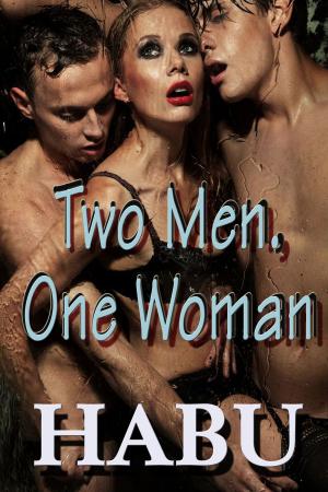 Cover of the book Two Men, One Woman by Erotikromance