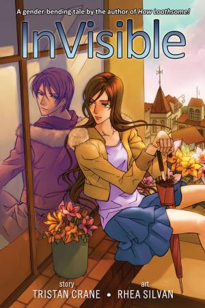 Cover of the book InVisible by Sankakuhead