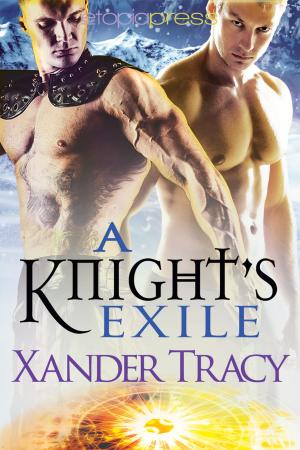 Cover of the book A Knight's Exile by Rhonda Laurel