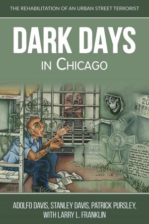 Cover of Dark Days in Chicago
