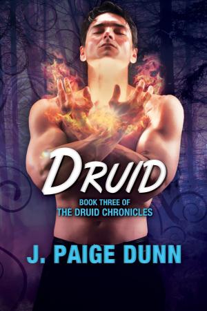 Cover of the book Druid: Book Three of the Druid Chronicles by Terry W. Gintz