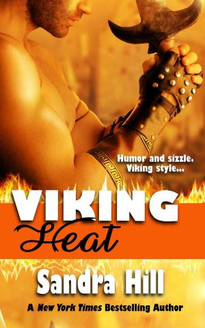 Cover of the book Viking Heat by Todd Fahnestock