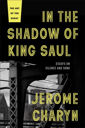 Book cover of In the Shadow of King Saul